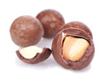 MACADAMIA