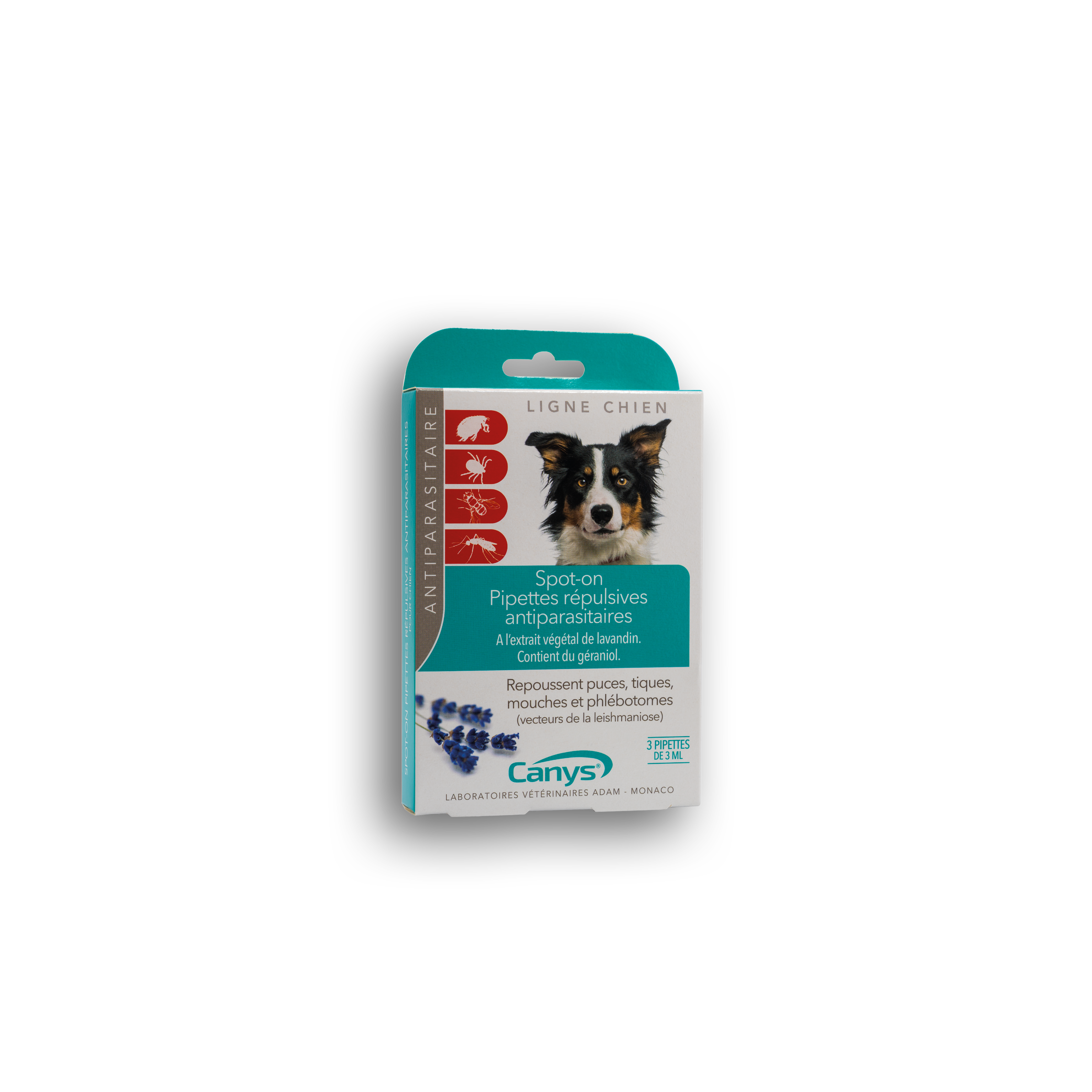 Sandfly repellent for dogs top